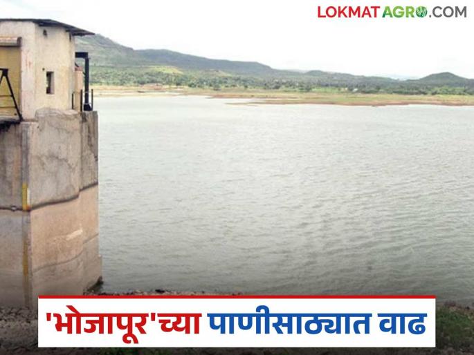 Water storage in Bhojapur dam increases; The dam is likely to overflow in the next one or two days | भोजापूर धरणाच्या पाणीसाठ्यात वाढ; येत्या एक दोन दिवसात धरण ओव्हरफ्लो होण्याची शक्यता Water storage in Bhojapur dam increases; The dam is likely to overflow in the next one or two days | भोजापूर धरणाच्या पाणीसाठ्यात वाढ; येत्या एक दोन दिवसात धरण ओव्हरफ्लो होण्याची शक्यता