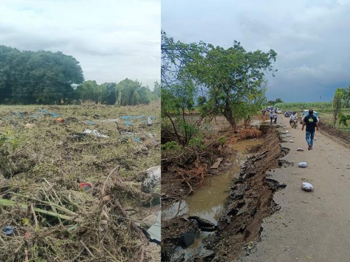 Dharashiv: Life was saved, but how to live? 145 animals in the land were killed, 702 hectares of land were destroyed | Dharashiv: जीव वाचला पण जगायचे कसे? भूममध्ये शेतकरी संकटात, ७०२ हेक्टर जमीन उद्ध्वस्त