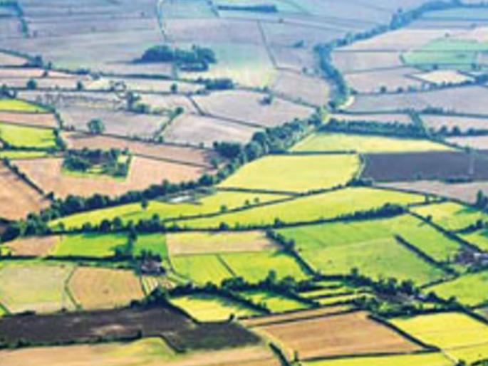 Occupancy option removed, small area calculation stopped; Land records have to be done in Version-2 for non-agricultural | वहिवाटीचा पर्याय हटला, छोट्या क्षेत्राची मोजणी बंद; भूमिअभिलेख व्हर्जन-२मध्ये करावी लागते बिगरशेती Occupancy option removed, small area calculation stopped; Land records have to be done in Version-2 for non-agricultural | वहिवाटीचा पर्याय हटला, छोट्या क्षेत्राची मोजणी बंद; भूमिअभिलेख व्हर्जन-२मध्ये करावी लागते बिगरशेती
