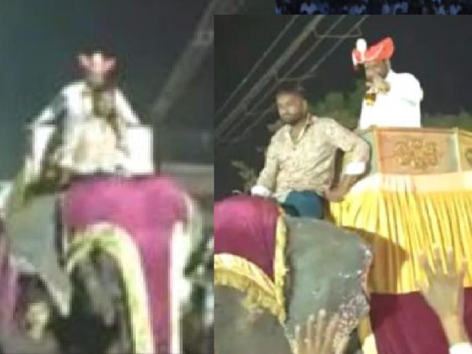 A case has been registered by the forest department for taking out a procession of Ajit Pawar MLA Shankar Mandekar on an elephant | अजित पवार गटातील आमदारांची हत्तीवरुन मिरवणूक काढणं आलं अंगलट, वनविभागाकडून गुन्हा दाखल A case has been registered by the forest department for taking out a procession of Ajit Pawar MLA Shankar Mandekar on an elephant | अजित पवार गटातील आमदारांची हत्तीवरुन मिरवणूक काढणं आलं अंगलट, वनविभागाकडून गुन्हा दाखल