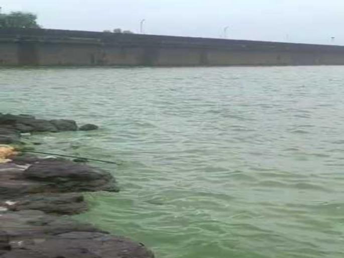 pune news The water of Bhatghar dam in Bhor taluka suddenly turned green | भोर तालुक्यातील भाटघर धरणाच्या पाण्याला अचानक चढला हिरवा रंग pune news The water of Bhatghar dam in Bhor taluka suddenly turned green | भोर तालुक्यातील भाटघर धरणाच्या पाण्याला अचानक चढला हिरवा रंग