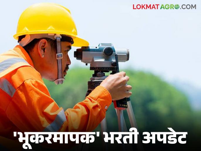 Recruitment for 903 posts in Land Records Department; Know the eligibility and application process in detail | भूमी अभिलेख विभागात 'या' पदासाठी ९०३ जागांची भरती; पात्रता आणि अर्जप्रक्रिया जाणून घ्या सविस्तर