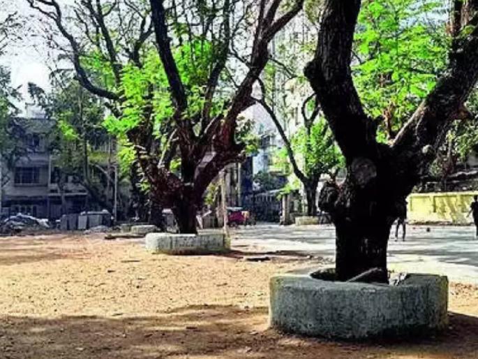 cancel the underground parking proposal question was raised by the locals in bandra | भूमिगत पार्किंग प्रस्ताव रद्द का करीत नाही? वांद्र्यातील स्थानिकांनी उपस्थित केला प्रश्न cancel the underground parking proposal question was raised by the locals in bandra | भूमिगत पार्किंग प्रस्ताव रद्द का करीत नाही? वांद्र्यातील स्थानिकांनी उपस्थित केला प्रश्न