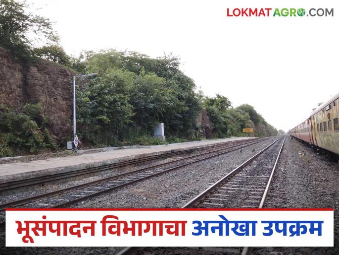 Land Acquisition Department to pay women farmers at home; will get six crore fifteen lakhs | भूसंपादन विभागाचा महिला शेतकऱ्यांना घरपोच मोबदला; मिळणार सहा कोटी पंधरा लाख Land Acquisition Department to pay women farmers at home; will get six crore fifteen lakhs | भूसंपादन विभागाचा महिला शेतकऱ्यांना घरपोच मोबदला; मिळणार सहा कोटी पंधरा लाख