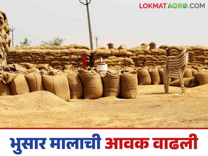 Bhusar Mal Bajar Bhav : Due to the wedding season, the arrival and sale of Bhusar Mal in the market has increased | Bhusar Mal Bajar Bhav : लग्नसराईमुळे बाजारात भुसार मालाची आवक अन् विक्रीही वाढली Bhusar Mal Bajar Bhav : Due to the wedding season, the arrival and sale of Bhusar Mal in the market has increased | Bhusar Mal Bajar Bhav : लग्नसराईमुळे बाजारात भुसार मालाची आवक अन् विक्रीही वाढली