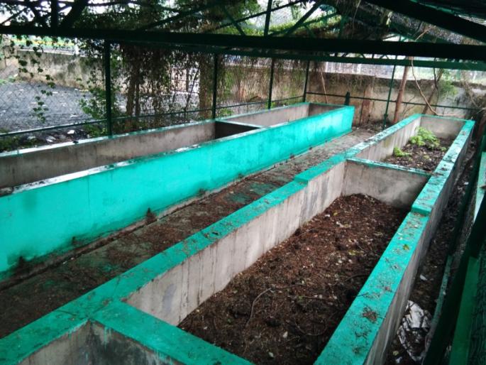 Vermicompost fertilizer plant at Bhusaval railway station; The income generated by the Railways in the future | भुसावळ रेल्वेने स्थानकावर उभारला गांडूळ खत निर्मिती प्रकल्प; भविष्यात रेल्वेला मिळणार उत्पन्न Vermicompost fertilizer plant at Bhusaval railway station; The income generated by the Railways in the future | भुसावळ रेल्वेने स्थानकावर उभारला गांडूळ खत निर्मिती प्रकल्प; भविष्यात रेल्वेला मिळणार उत्पन्न