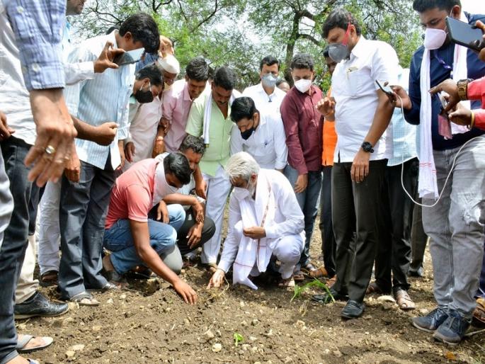 Companies that supply unripe seeds will not be spared; Agriculture Minister's warning | वांझोटे बियाणे पुरविणाऱ्या कंपन्यांची गय केली जाणार नाही; कृषी मंत्र्यांचा इशारा