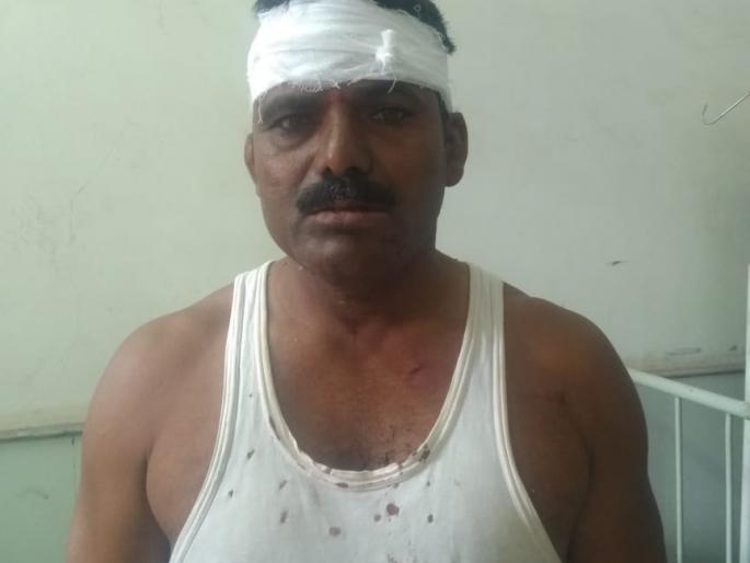 Two injured in attack | बिबट्याच्या हल्ला : संगमनेरमधील चार जण जखमी Two injured in attack | बिबट्याच्या हल्ला : संगमनेरमधील चार जण जखमी