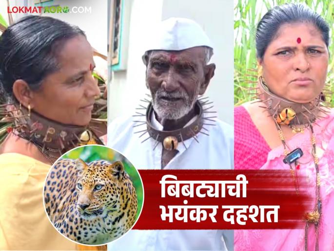 The fear of leopards increased; it was time for villagers to wear a belt with sharp nails around their necks | बिबट्याची दहशत वाढली; ग्रामस्थांवर आली गळ्यात टोकदार खिळ्यांचा पट्टा घालण्याची वेळ