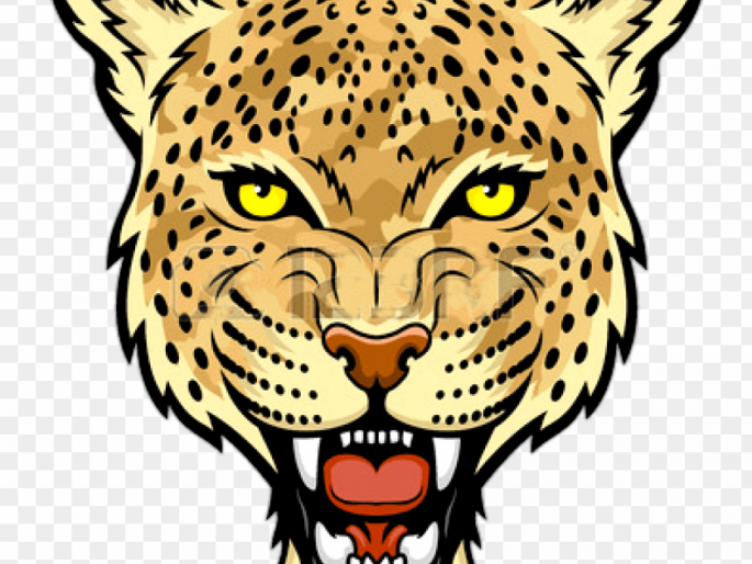 Leopard attack in Dabli kills calf | डाबलीत बिबट्याचा हल्ला, वासरू ठार Leopard attack in Dabli kills calf | डाबलीत बिबट्याचा हल्ला, वासरू ठार