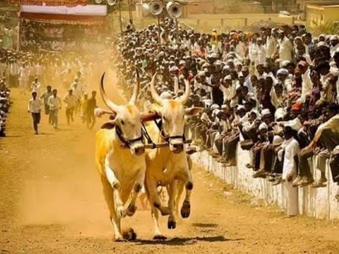 The journey of the villages started ... Bharra ... When? | गावांच्या यात्रा-जत्रा झाल्या सुरू... भिर्र...केव्हा? The journey of the villages started ... Bharra ... When? | गावांच्या यात्रा-जत्रा झाल्या सुरू... भिर्र...केव्हा?