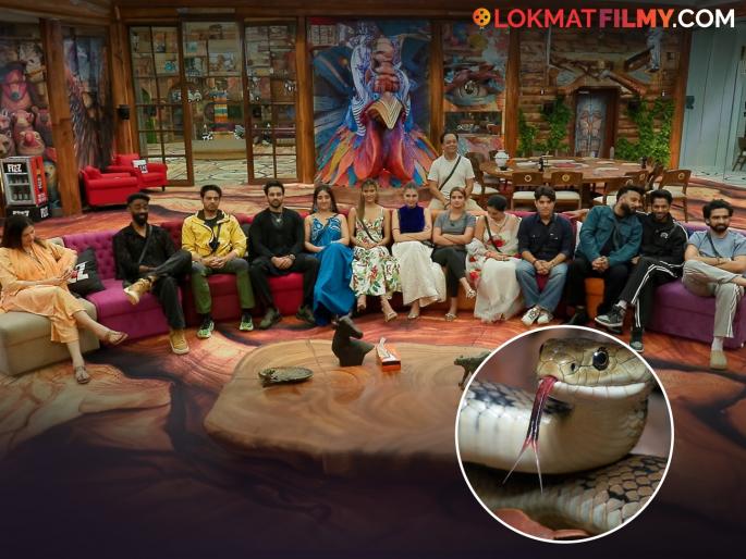 Bigg Boss 19 Mridul Tiwari Catches A Snake Inside BB House | 'बिग बॉस १९' च्या घरात निघाला साप, 'या' स्पर्धकानं दाखवलं धाडस, सापाला पकडून बाटलीत टाकलं!