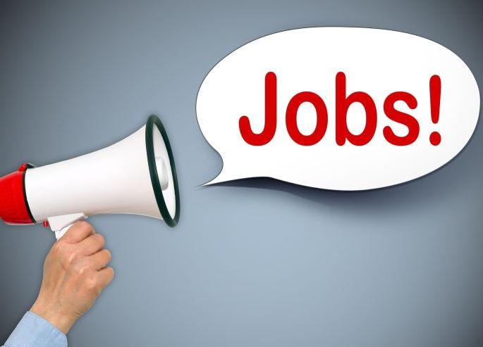 Good news, recruitment of one and a half thousand posts in the municipality in the new year | गुड न्यूज, मनपात नवीन वर्षात दीड हजारावर पदांची भरती Good news, recruitment of one and a half thousand posts in the municipality in the new year | गुड न्यूज, मनपात नवीन वर्षात दीड हजारावर पदांची भरती