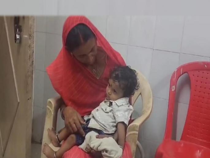 A Child Killed A Snake By Chewing It In His Mouth In bihar, read here in details | ऐकावं ते नवलच! एक वर्षाच्या चिमुकल्याने सापाला चावून ठार केलं; खेळता खेळता घडली घटना A Child Killed A Snake By Chewing It In His Mouth In bihar, read here in details | ऐकावं ते नवलच! एक वर्षाच्या चिमुकल्याने सापाला चावून ठार केलं; खेळता खेळता घडली घटना