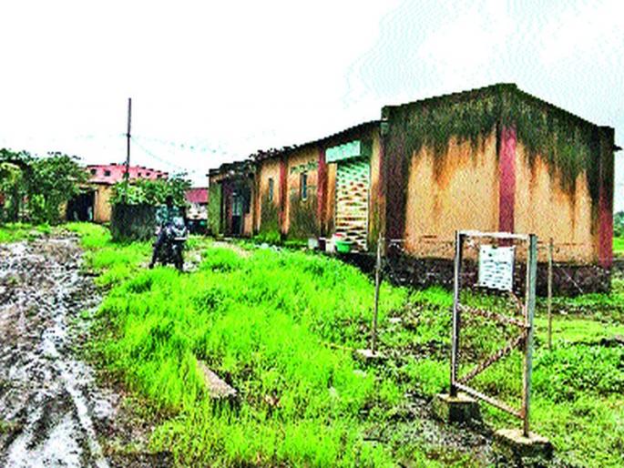 The seed production centers have problems | बीजरोपण केंद्र समस्यांनी ग्रासले