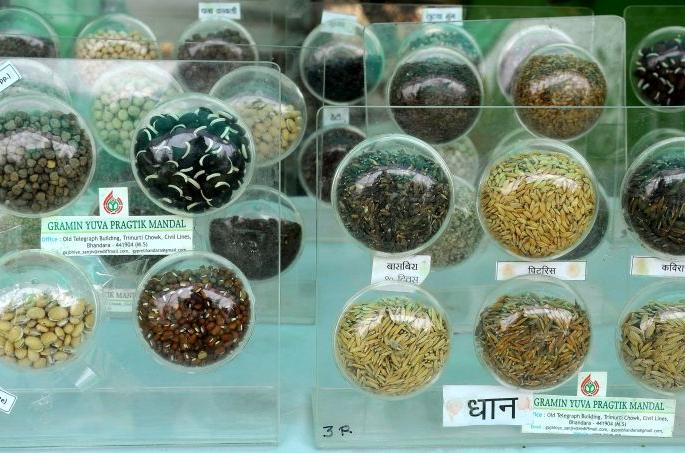 WAW, Red and Black colour rice in Nagpur! | अबब, नागपुरात लाल आणि काळा तांदूळ ! WAW, Red and Black colour rice in Nagpur! | अबब, नागपुरात लाल आणि काळा तांदूळ !