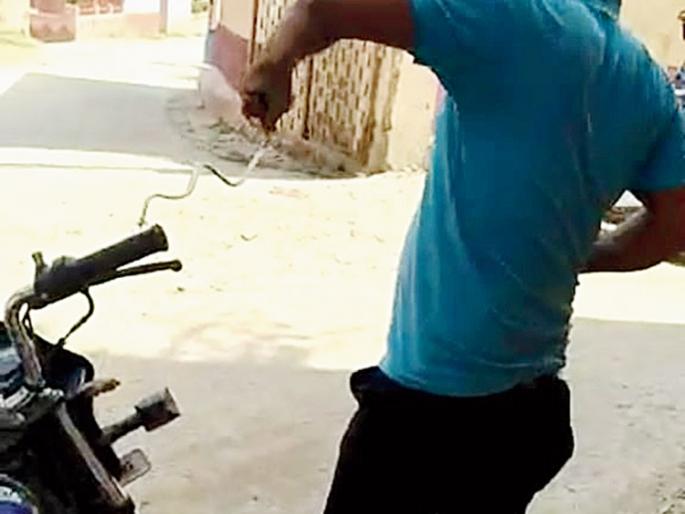 The snake came out of the headlights of the bike! | दुचाकीच्या हेडलाईटमधून बाहेर आला नाग ! The snake came out of the headlights of the bike! | दुचाकीच्या हेडलाईटमधून बाहेर आला नाग !