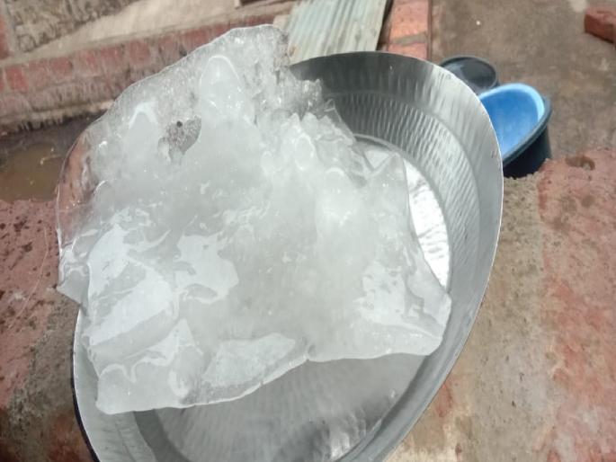 Big hail fell in Bilashi sangli, streams and rivers started flowing with rain like cloudburst | Sangli: अबब ! बिळाशीत पडली परातीएवढी मोठी गार, ढगफुटीसदृश्य पावसाने ओढे-नाले वाहू लागले Big hail fell in Bilashi sangli, streams and rivers started flowing with rain like cloudburst | Sangli: अबब ! बिळाशीत पडली परातीएवढी मोठी गार, ढगफुटीसदृश्य पावसाने ओढे-नाले वाहू लागले