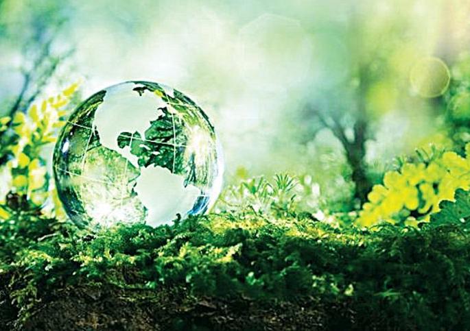 Forget the Centre's letter to the state government | केंद्राच्या पत्राचा राज्य शासनाला विसर Forget the Centre's letter to the state government | केंद्राच्या पत्राचा राज्य शासनाला विसर