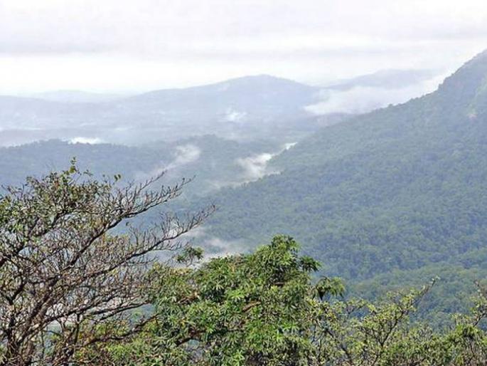 Ten years late biodiversity committees | दहा वर्षे उशिराने जैवविविधता समित्या Ten years late biodiversity committees | दहा वर्षे उशिराने जैवविविधता समित्या