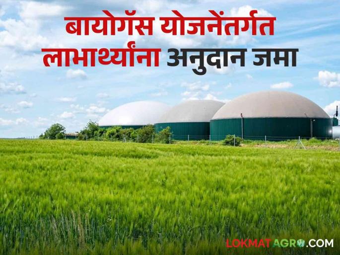 Biogas Yojana: 15 lakhs sanctioned for biogas subsidy | Biogas Yojana : बायोगॅस अनुदानासाठी १५ लाखांचा निधी मंजूर Biogas Yojana: 15 lakhs sanctioned for biogas subsidy | Biogas Yojana : बायोगॅस अनुदानासाठी १५ लाखांचा निधी मंजूर
