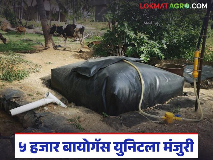 Approval for five thousand more biogas units; Now you will get an improved biogas model | आणखी पाच हजार बायोगॅसच्या युनिटला मिळाली मंजुरी; आता मिळणार सुधारित बायोगॅस मॉडेल