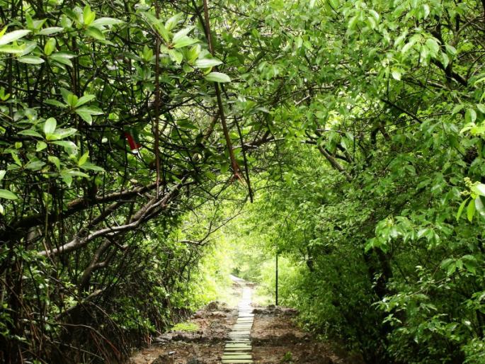 Do not damage the bird sanctuary during development | विकास करताना पक्षी अभयारण्याचे नुकसान होऊ देऊ नका Do not damage the bird sanctuary during development | विकास करताना पक्षी अभयारण्याचे नुकसान होऊ देऊ नका