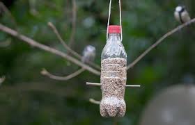 lockdown: DIY : bird feeder activity for kids | आपण घरात बसलो , पण पक्ष्यांना खाऊ कोण देणार ?