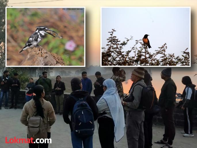 105 species of birds flock to Kalamba Lake in Kolhapur | कोल्हापुरातील कळंबा तलावावर १०५ प्रजातींच्या पक्ष्यांचा वावर 105 species of birds flock to Kalamba Lake in Kolhapur | कोल्हापुरातील कळंबा तलावावर १०५ प्रजातींच्या पक्ष्यांचा वावर