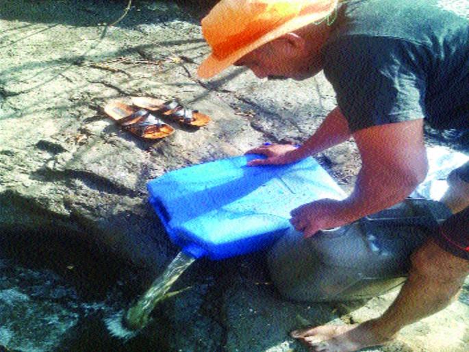 The grassroots youth struggle for thirsty animals | तहानलेल्या प्राण्यांसाठी भिवघरच्या तरुणांची धडपड  The grassroots youth struggle for thirsty animals | तहानलेल्या प्राण्यांसाठी भिवघरच्या तरुणांची धडपड