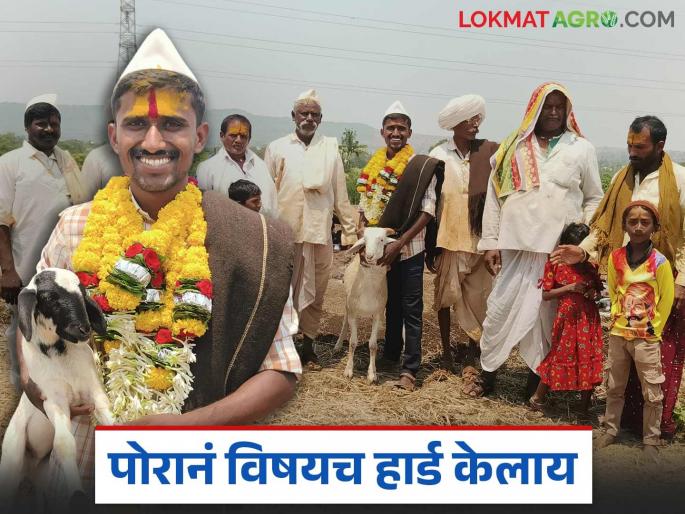 Sheep herder Birdev shines in UPSC ranks; Flag of success flies over small hut in field | मेंढरं चारणारा बिरदेव युपीएससीच्या रँकमध्ये झळकला; चंद्रमौळी झोपडीवर यशाचा झेंडा Sheep herder Birdev shines in UPSC ranks; Flag of success flies over small hut in field | मेंढरं चारणारा बिरदेव युपीएससीच्या रँकमध्ये झळकला; चंद्रमौळी झोपडीवर यशाचा झेंडा