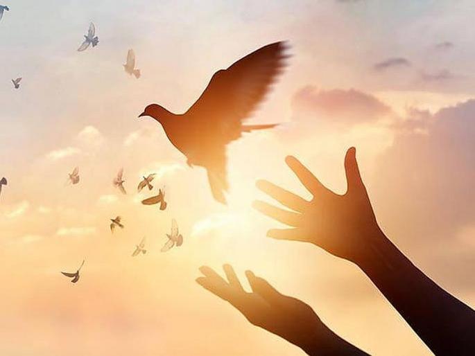 Simple Ways to Make Your Life Happier | आनंद देण्यासारखा दुसरा आनंद नाही Simple Ways to Make Your Life Happier | आनंद देण्यासारखा दुसरा आनंद नाही