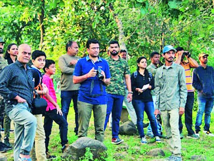 Bird Week: 53 species of birds appearing in Gorewada | पक्षी सप्ताह : गोरेवाड्यामध्ये पक्ष्यांच्या ५३ प्रजातींचे दर्शन Bird Week: 53 species of birds appearing in Gorewada | पक्षी सप्ताह : गोरेवाड्यामध्ये पक्ष्यांच्या ५३ प्रजातींचे दर्शन