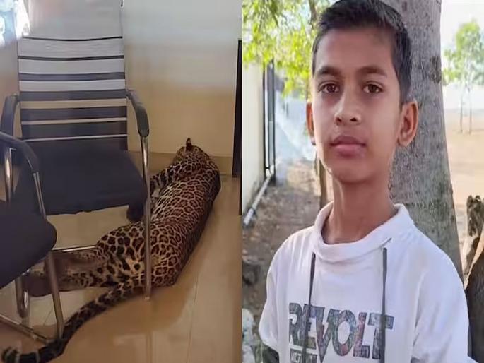 A 13-year-old boy in Nashik Malegaon kept a leopard inside his house | १३ वर्षीय मुलगा बिबट्याला नडला, काळजाचा ठोका चुकला; आधी कोंडून ठेवले अन्... A 13-year-old boy in Nashik Malegaon kept a leopard inside his house | १३ वर्षीय मुलगा बिबट्याला नडला, काळजाचा ठोका चुकला; आधी कोंडून ठेवले अन्...