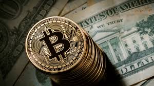 Bitcoin investors bump? Government sent notice | बिटकॉइनमध्ये गुंतवणूक करणाऱ्यांना दणका? सरकारने पाठवली नोटीस 