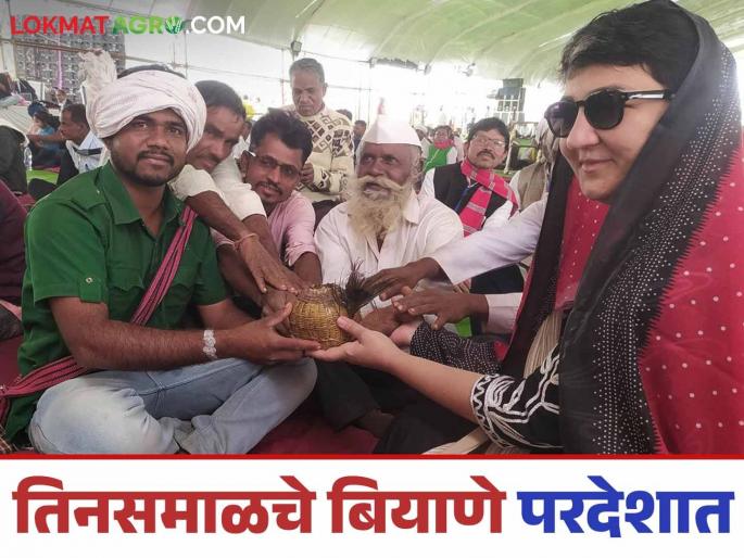 Latest News agriculture News Traditional seeds from Satpura will flourish in the soil of Iran, read in detail | Agriculture News : इराणच्या मातीत फुलणार सातपुड्यातील पारंपरिक बियाणे, वाचा सविस्तर 