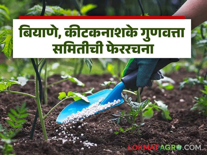 Latest News Taluka-level committee to check seeds, pesticides, you can also complain | बियाणे, कीटकनाशके तपासणीसाठी तालुकास्तरावर समिती, तुम्हालाही तक्रार करता येईल Latest News Taluka-level committee to check seeds, pesticides, you can also complain | बियाणे, कीटकनाशके तपासणीसाठी तालुकास्तरावर समिती, तुम्हालाही तक्रार करता येईल