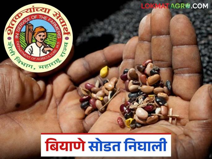 latest News MahaDBT seeds scheme released, beneficiary list released, read in detail | Mahadbt Biyane : महाडीबीटीची बियाणे सोडत निघाली, लाभार्थी यादी आली, वाचा सविस्तर  latest News MahaDBT seeds scheme released, beneficiary list released, read in detail | Mahadbt Biyane : महाडीबीटीची बियाणे सोडत निघाली, लाभार्थी यादी आली, वाचा सविस्तर