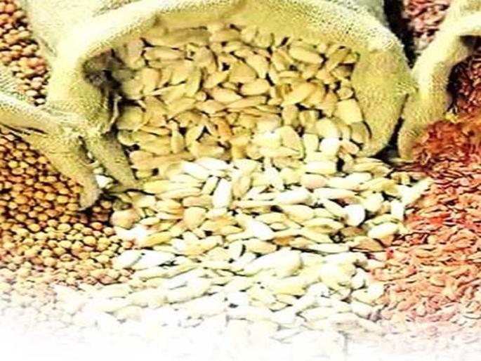 Allotment of 37,800 quintals of seed for Kharif | खरीपसाठी ३७,८०० क्विंटल बियाण्यांचे आवंटन मंजूर Allotment of 37,800 quintals of seed for Kharif | खरीपसाठी ३७,८०० क्विंटल बियाण्यांचे आवंटन मंजूर