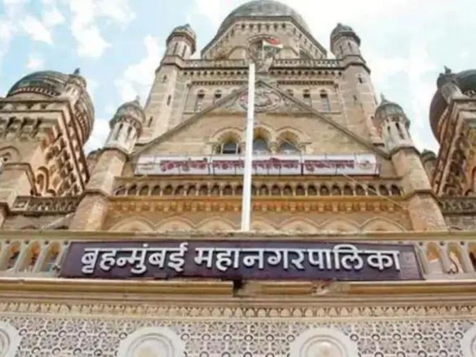 BMC gave strength to five new entrepreneurs, startup | पाच नव उद्योजकांच्या पंखात पालिकेचे बळ.... BMC gave strength to five new entrepreneurs, startup | पाच नव उद्योजकांच्या पंखात पालिकेचे बळ....