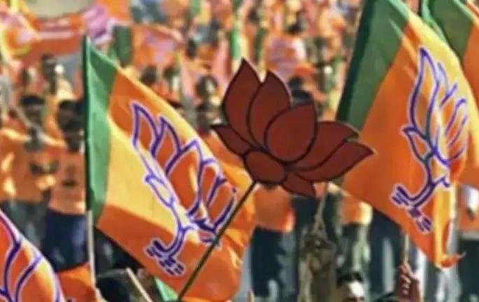 Out of 13 assembly seats, BJP got 5 seats and Congress got 4 seats | १३ विधानसभा जागांपैकी भाजपला ५, काँग्रेसला ४ जागा Out of 13 assembly seats, BJP got 5 seats and Congress got 4 seats | १३ विधानसभा जागांपैकी भाजपला ५, काँग्रेसला ४ जागा