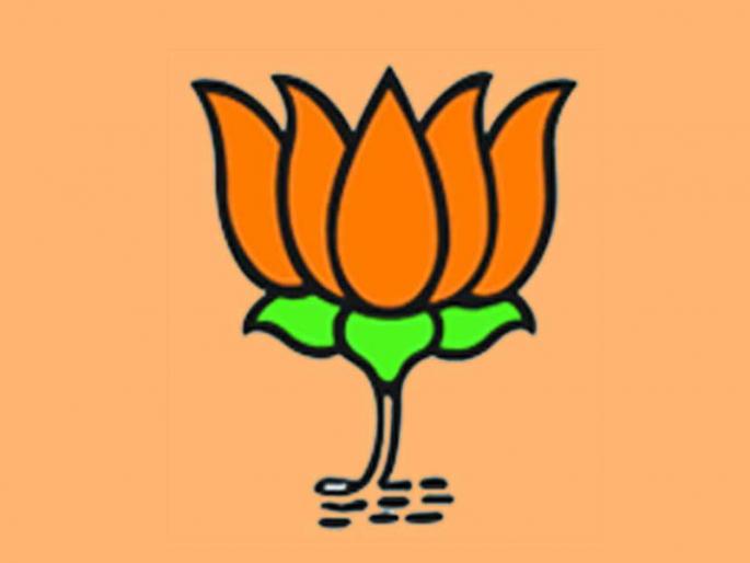 BJP launches women's power for modi victory | भाजपाकडून मोदी विजयासाठी महिला आघाडीचे अस्त्र