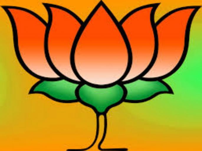 Sure about results but BJP will keep eye.. | निकालाची खात्री, मात्र तरी लक्ष ठेवणार : भाजपा