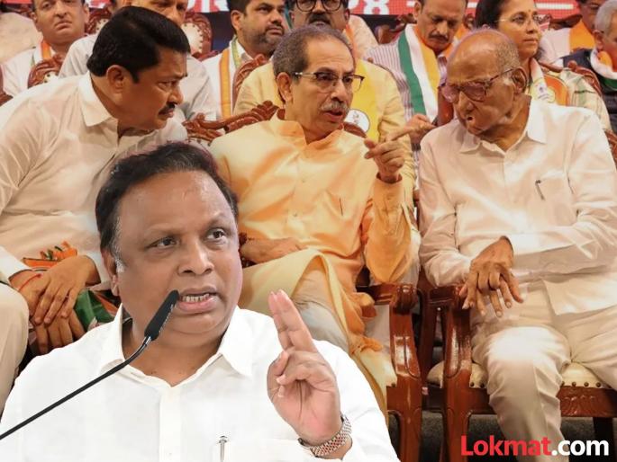 Maharashtra Vidhan Sabha Election 2024 bjp leader criticized on mahavikas aghadi | Maharashtra Vidhan Sabha Election 2024:'व्होट जिहादची भाषा होणार असेल तर महायुतीने बांगड्या भरलेल्या नाहीत'; आशिष शेलारांचा इशारा Maharashtra Vidhan Sabha Election 2024 bjp leader criticized on mahavikas aghadi | Maharashtra Vidhan Sabha Election 2024:'व्होट जिहादची भाषा होणार असेल तर महायुतीने बांगड्या भरलेल्या नाहीत'; आशिष शेलारांचा इशारा