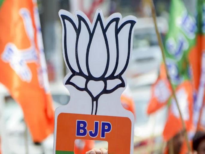BJP's formula for the assembly? Discussion of seat allotment soon, Ashish Shelar's information | विधानसभेसाठी भाजपचा फॉर्म्युला ठरला? लवकरच जागावाटपाची चर्चा, आशिष शेलारांची माहिती BJP's formula for the assembly? Discussion of seat allotment soon, Ashish Shelar's information | विधानसभेसाठी भाजपचा फॉर्म्युला ठरला? लवकरच जागावाटपाची चर्चा, आशिष शेलारांची माहिती