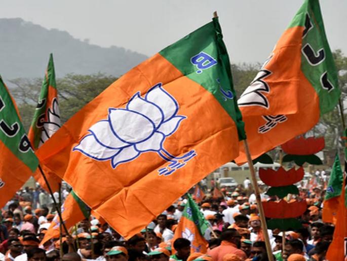 What should be the issues in the Manifesto of the maharashtra Assembly election?; BJP asked for suggestions | विधानसभेच्या जाहीरनाम्यात काय मुद्दे असावे?; भाजपने मागविल्या सूचना What should be the issues in the Manifesto of the maharashtra Assembly election?; BJP asked for suggestions | विधानसभेच्या जाहीरनाम्यात काय मुद्दे असावे?; भाजपने मागविल्या सूचना