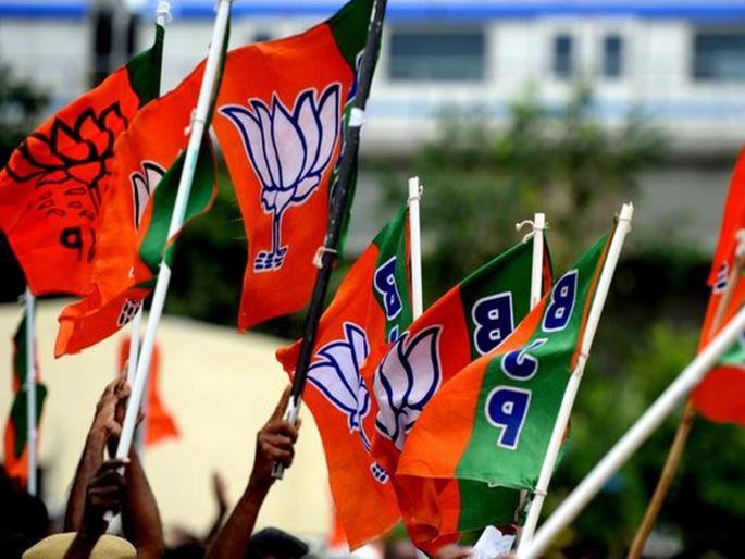 lok sabha election 2019 Dog With Pro BJP Stickers On Body Detained In nandurbar by police | भाजपाचा प्रचार केल्याप्रकरणी कुत्र्याला घेतलं ताब्यात; पोलिसांची कारवाई