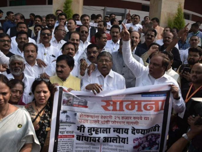 nagpur winter session BJP criticizes Chief Minister Uddhav Thackeray | ‘सोनियांचा पोपट काय म्हणतो, 25 हजाराला नाही म्हणतो’; भाजप आमदारांची मुख्यमंत्र्यांवर टीका nagpur winter session BJP criticizes Chief Minister Uddhav Thackeray | ‘सोनियांचा पोपट काय म्हणतो, 25 हजाराला नाही म्हणतो’; भाजप आमदारांची मुख्यमंत्र्यांवर टीका