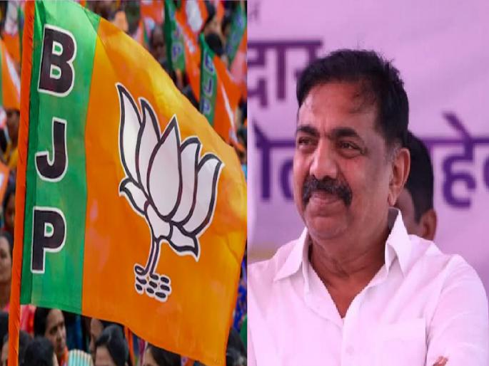 the move to take the leaders of NCP's Jayant Patil group into the BJP In Sangli district | Sangli Politics: भाजपने काँग्रेस फोडली, आता जयंतरावांची राष्ट्रवादी फुटणार; कोणत्या नेत्यांची नावे चर्चेत.. वाचा the move to take the leaders of NCP's Jayant Patil group into the BJP In Sangli district | Sangli Politics: भाजपने काँग्रेस फोडली, आता जयंतरावांची राष्ट्रवादी फुटणार; कोणत्या नेत्यांची नावे चर्चेत.. वाचा