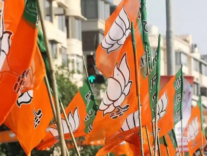 BJP for the post of state president, Shelar, Halwankar discussions | भाजप प्रदेशाध्यक्ष पदासाठी शेलार, हळवणकर चर्चेत BJP for the post of state president, Shelar, Halwankar discussions | भाजप प्रदेशाध्यक्ष पदासाठी शेलार, हळवणकर चर्चेत